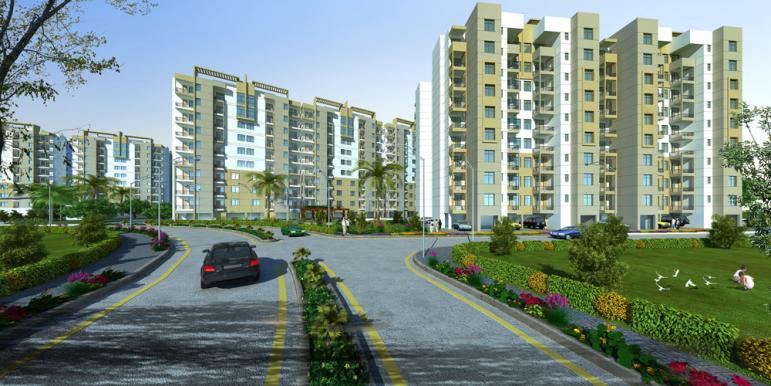 Orris Carnation Residency